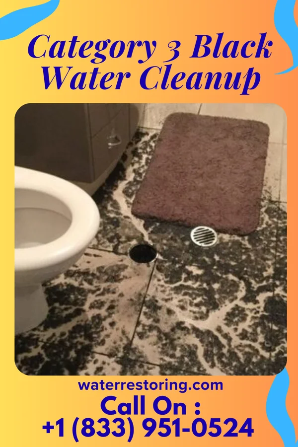 Category 3 Black Water Cleanup in Kickapoo Site 5, KS